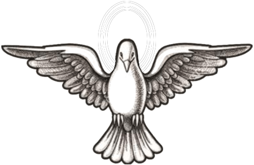 White Pigeon Marine Services